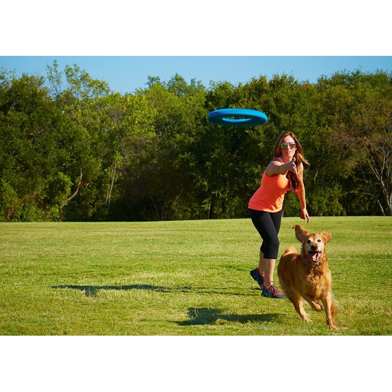 Dog Chew Toys Rugged Flyer Dog Toy Disc for Average Chewers Treat Dispenser stuffable Tough Dog Toys