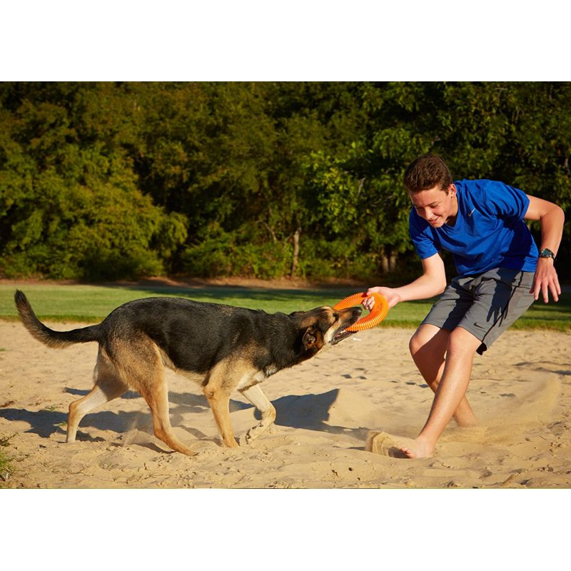 Dog Chew Toys Rugged Flyer Dog Toy Disc for Average Chewers Treat Dispenser stuffable Tough Dog Toys