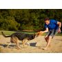 Dog Chew Toys Rugged Flyer Dog Toy Disc for Average Chewers Treat Dispenser stuffable Tough Dog Toys