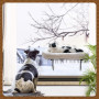Cat Window Perch - 100% Metal Supported from Below - Comes with Warm Spacious Pet Bed - Cat Window Hammock for Large Cats & Kit