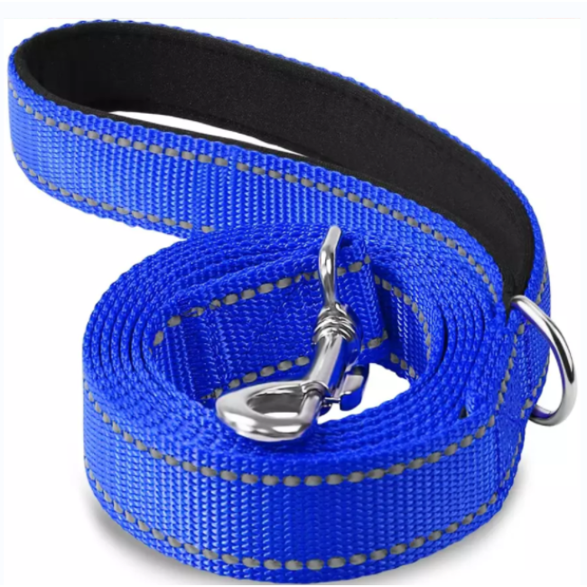 Padded Handle Nylon Reflective Dog Leash for Walking, Training Lead
