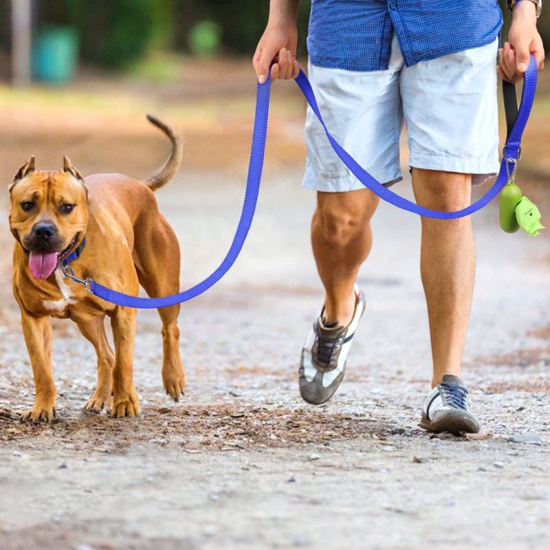 Padded Handle Nylon Reflective Dog Leash for Walking, Training Lead