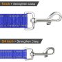Padded Handle Nylon Reflective Dog Leash for Walking, Training Lead