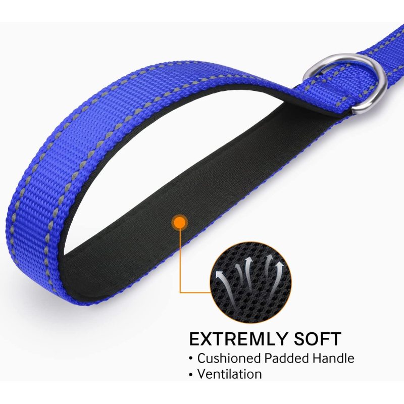 Padded Handle Nylon Reflective Dog Leash for Walking, Training Lead