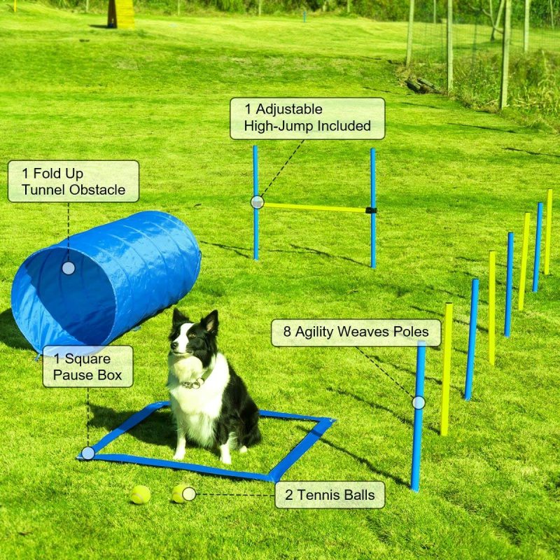 Pause Box Agility Training Equipment Jump Hurdle Dog Tunnel Starter Kit for Jumping Practice