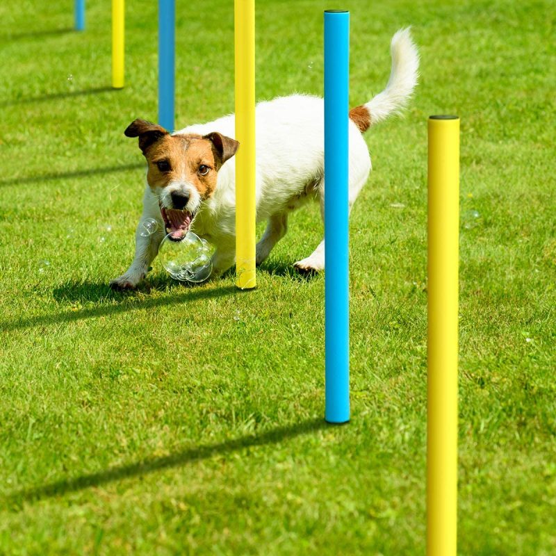 Pause Box Agility Training Equipment Jump Hurdle Dog Tunnel Starter Kit for Jumping Practice