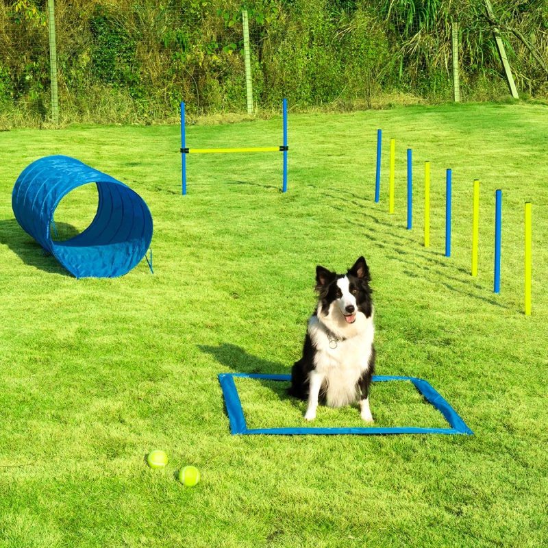 Pause Box Agility Training Equipment Jump Hurdle Dog Tunnel Starter Kit for Jumping Practice
