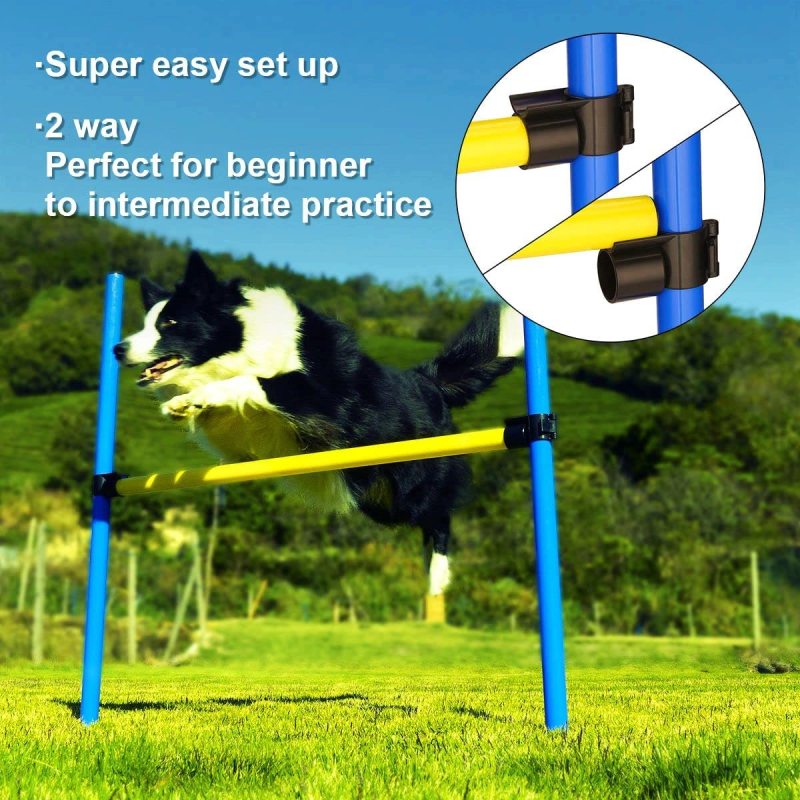 Pause Box Agility Training Equipment Jump Hurdle Dog Tunnel Starter Kit for Jumping Practice