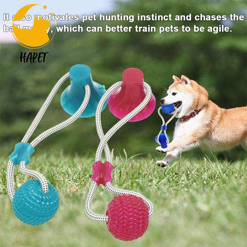 Suction Cup Dog Toys Aggressive Chewers with Teeth Cleaning Pet Molar Bite Toy