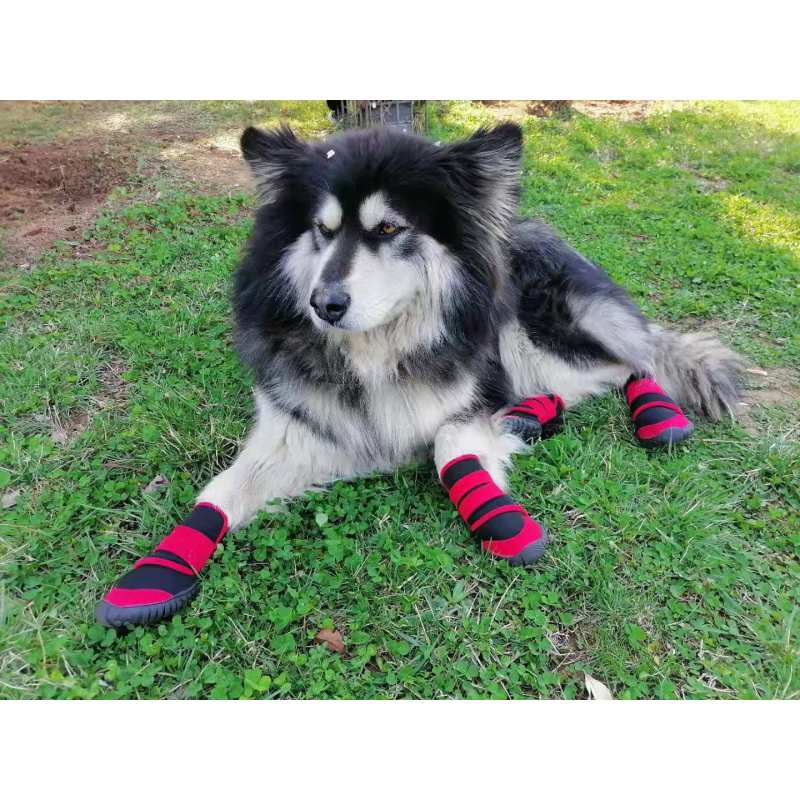 Waterproof Dog Shoes Adjustable Straps Dog Boots Rugged Anti-Slip Sole Paw Protectors for All Weather