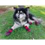 Waterproof Dog Shoes Adjustable Straps Dog Boots Rugged Anti-Slip Sole Paw Protectors for All Weather