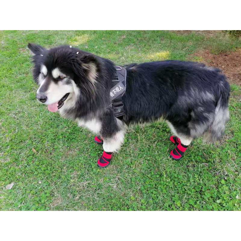 Waterproof Dog Shoes Adjustable Straps Dog Boots Rugged Anti-Slip Sole Paw Protectors for All Weather