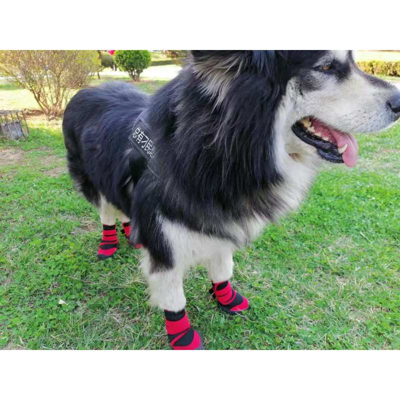 Waterproof Dog Shoes Adjustable Straps Dog Boots Rugged Anti-Slip Sole Paw Protectors for All Weather
