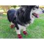 Waterproof Dog Shoes Adjustable Straps Dog Boots Rugged Anti-Slip Sole Paw Protectors for All Weather