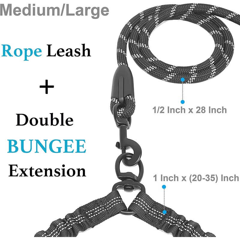 Comfortable Shock Absorbing Reflective Bungee Double Dog Leash  for Two Dogs