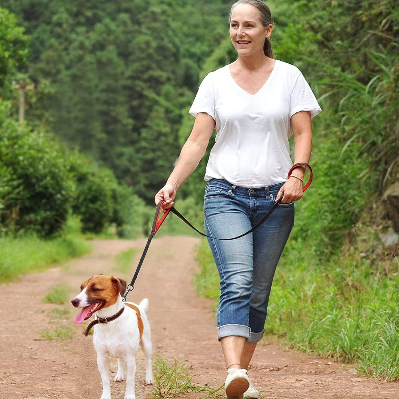 Padded Handles Traffic Handle Leash Reflective Safety Training for Walking