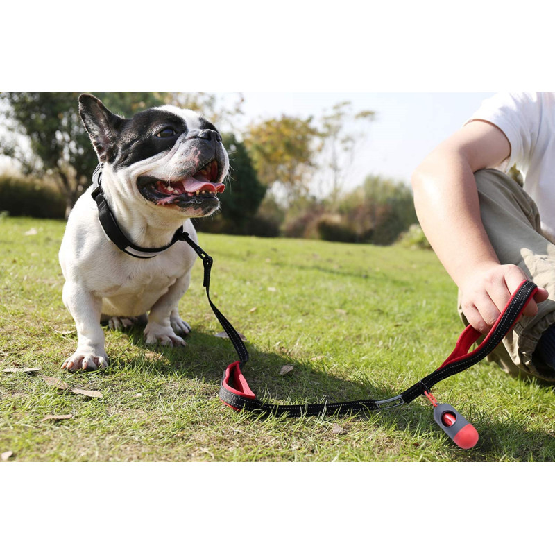 Padded Handles Traffic Handle Leash Reflective Safety Training for Walking