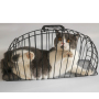Portable Steel Wire Pet Cat Puppy Shower Cage Injection Anti Scratch Cat Washing Shower Bath Cage
