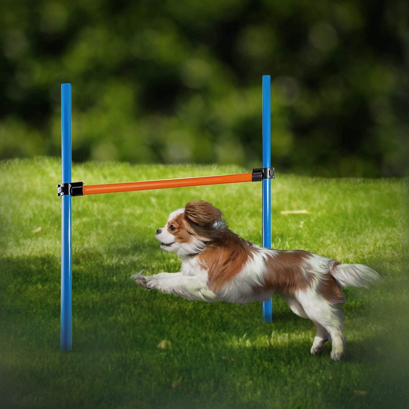 Adjustable Hurdles Dog Agility Tunnel Obstacle Course for Training and Interactive Play