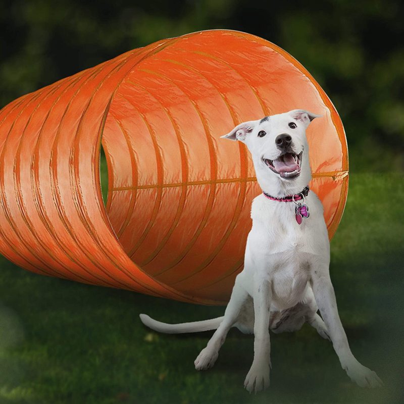 Adjustable Hurdles Dog Agility Tunnel Obstacle Course for Training and Interactive Play