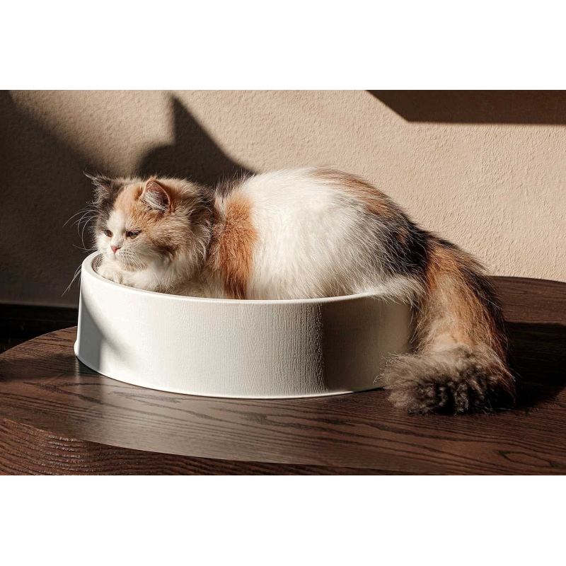Refillable Cat Scratcher Cardboard & Bed for Indoor Cats, Scratching Lounge, Scratching Pad