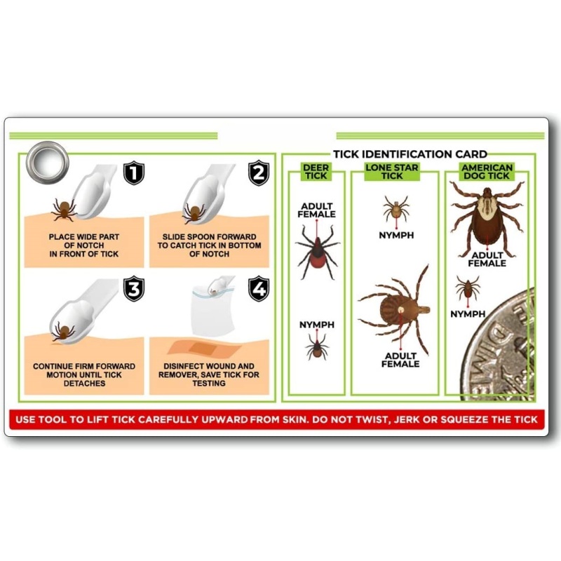 Wholesale Tick Remover Spoon 3 Pack of Lightweight Tick Remover Tools with Free Tick ID Card  Carabiner