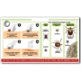Wholesale Tick Remover Spoon 3 Pack of Lightweight Tick Remover Tools with Free Tick ID Card  Carabiner