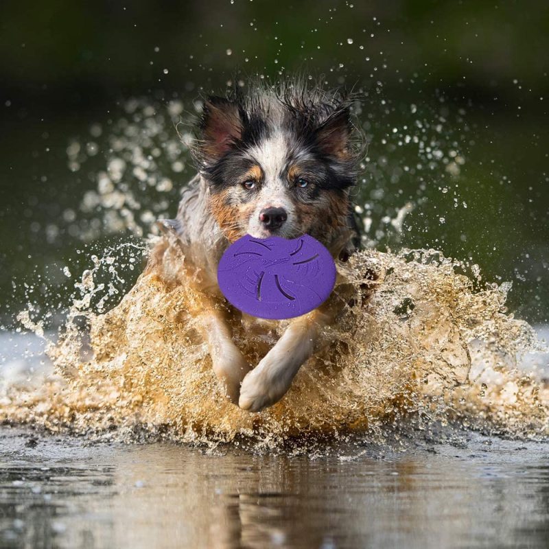 Soft Lightweight Dog Catch Flyer Toy Fetch Toys for Small Medium Dogs
