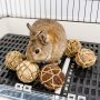 Small Animals Play Balls Rolling Chew Toys & Gnawing Treats