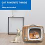 Lounge Bed Cat Scratcher Cardboard Durable Board Pads Prevents Furniture