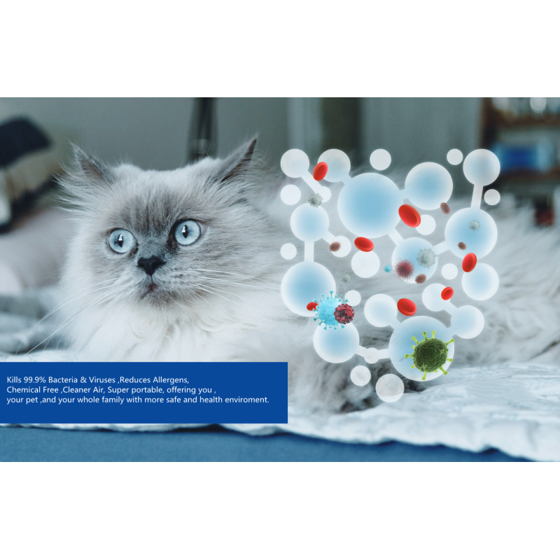 Portable Ozone Water Sanitizing and Disinfecting Sprayer Household Cleaning Supplies with Breakthrough Technology