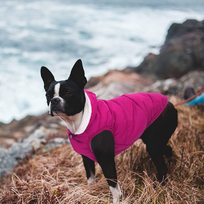 Dog Fleece Hoodie, Windproof Waterproof Dog Coat Fleece & Cotton Lined Warm Dog Jacket, Cold Weather Pet Apparel Clothes Vest