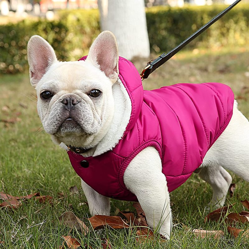 Dog Fleece Hoodie, Windproof Waterproof Dog Coat Fleece & Cotton Lined Warm Dog Jacket, Cold Weather Pet Apparel Clothes Vest