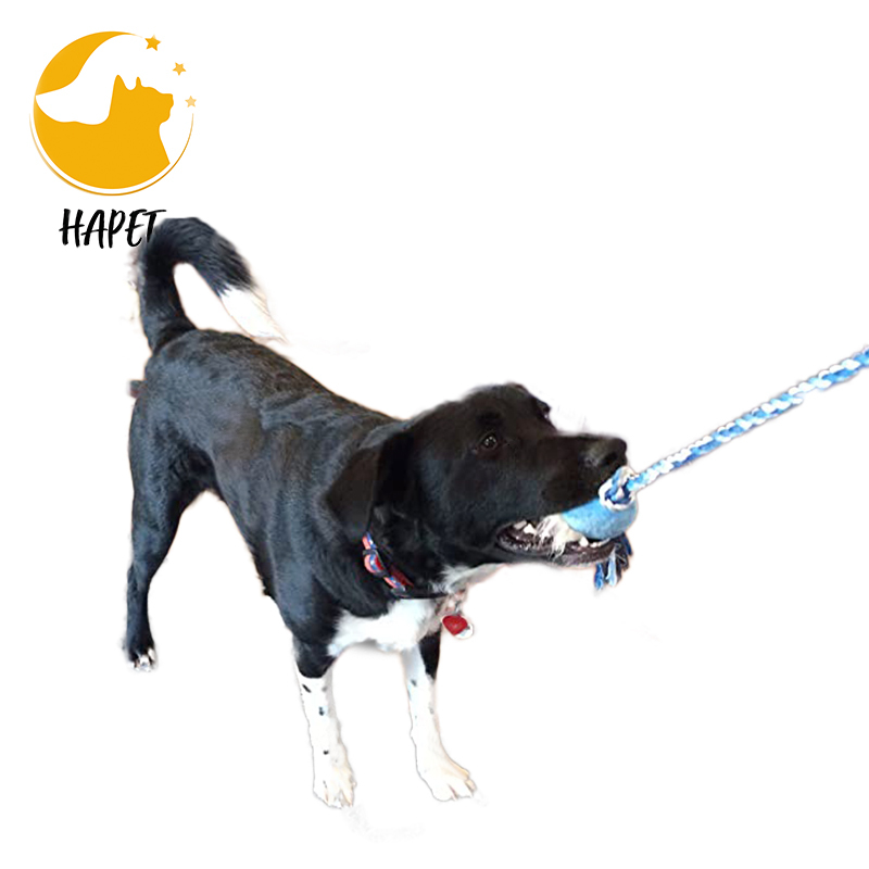 Flirt Pole for Dogs with Safe and Strong Durable Telescopic Lure Stick Dog Toy Training for Fun