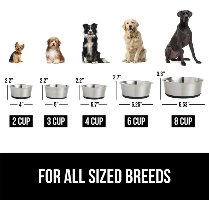 Stainless Steel Metal Dog Bowl  Rubber Base, Heavy Duty, Rust Resistant, Food Grade Free Less Sliding, Quiet Pet
