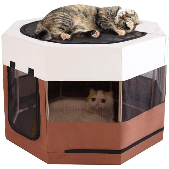 Animals Wood Frame Cat Playpen Cage Indoor Kitten Crate Dog for Puppy Large Size Sturdy Long Lasting Use