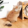 Quality Cat Scratching Board For Indoor, Modern  Pad House And Rest Play Fun Climb