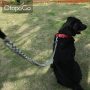 Dog Chain with Padded Handle Metal Dog Leash Large & Medium Size Dogs