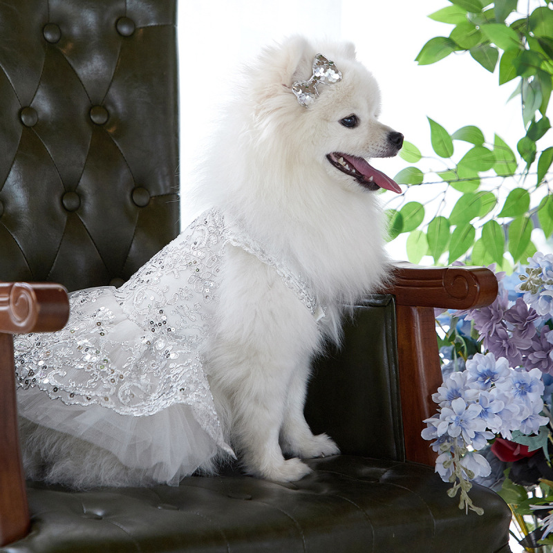 Dog Lace Wedding Dress Tutu Skirt Puppy Cat Floral Princess Dress Pet Birthday Party Costume for Spring Summer