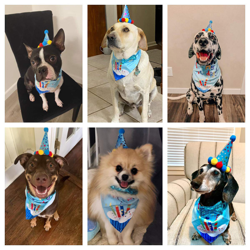 Dog Birthday Party Set Dog Birthday Bandana Triangle Scarf