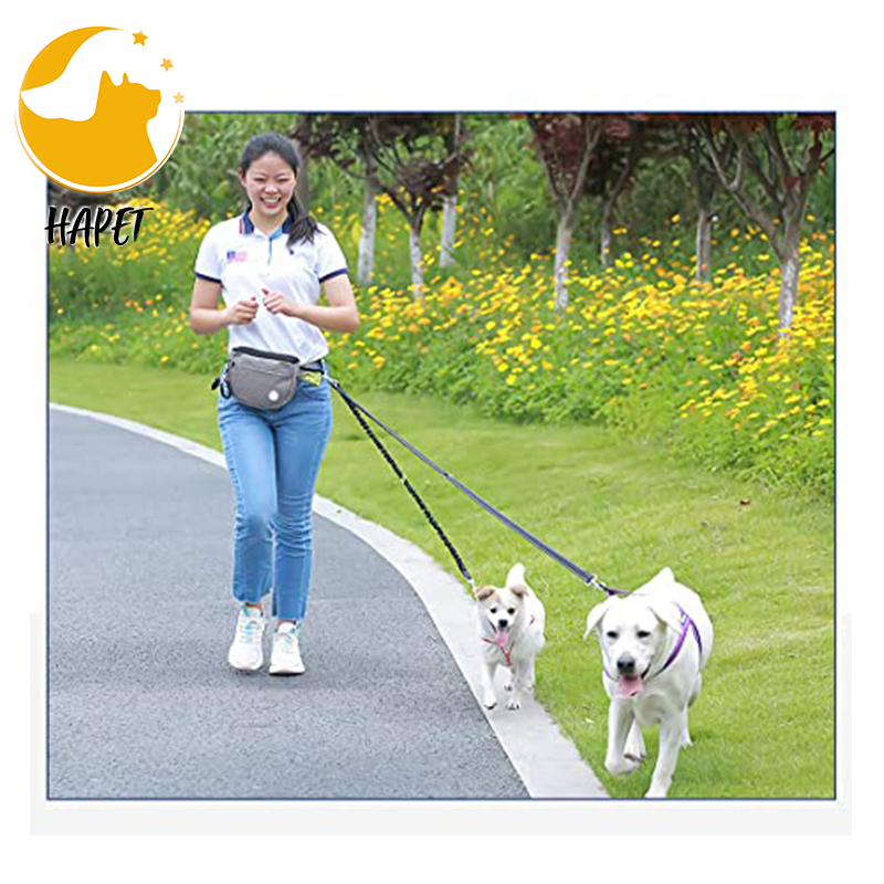 Dog Treat Pouch for Training Portable Dog Walking Fanny Pack Built