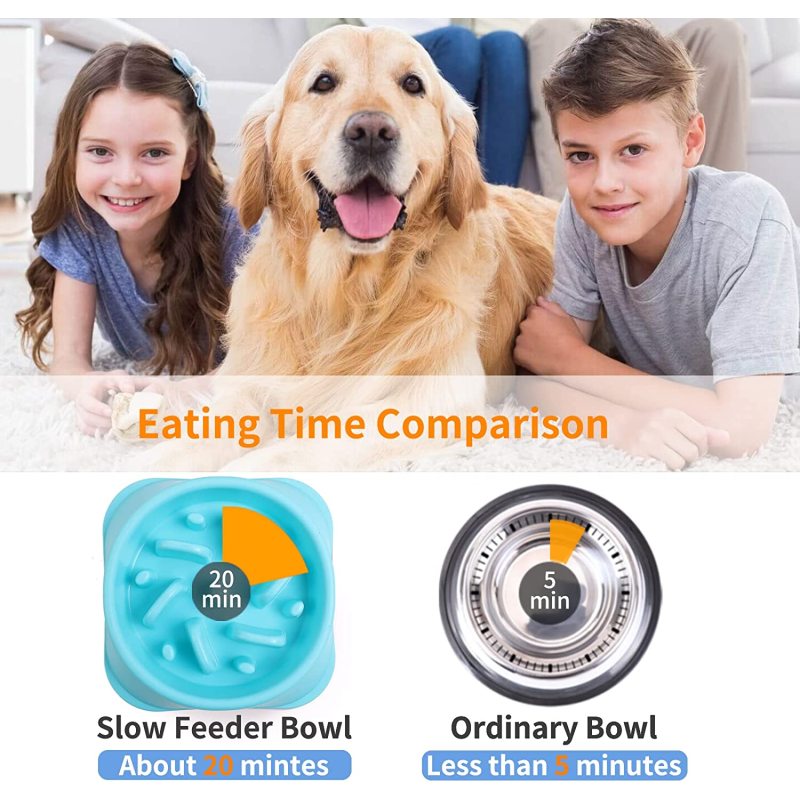 Interactive Bloat Durable Slow Feeder Dog Bowls Preventing Choking Healthy