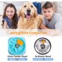 Interactive Bloat Durable Slow Feeder Dog Bowls Preventing Choking Healthy