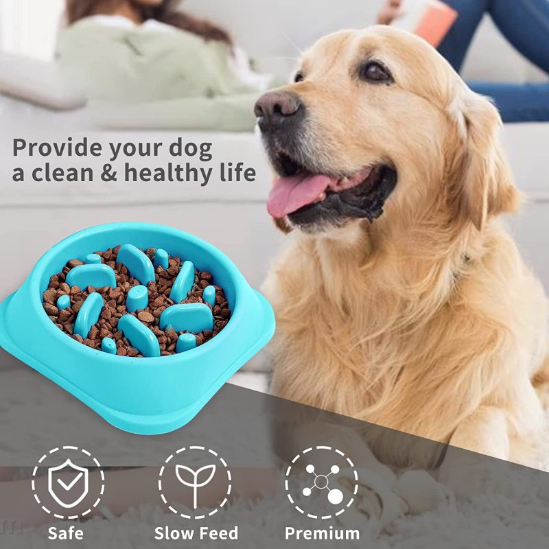 Interactive Bloat Durable Slow Feeder Dog Bowls Preventing Choking Healthy