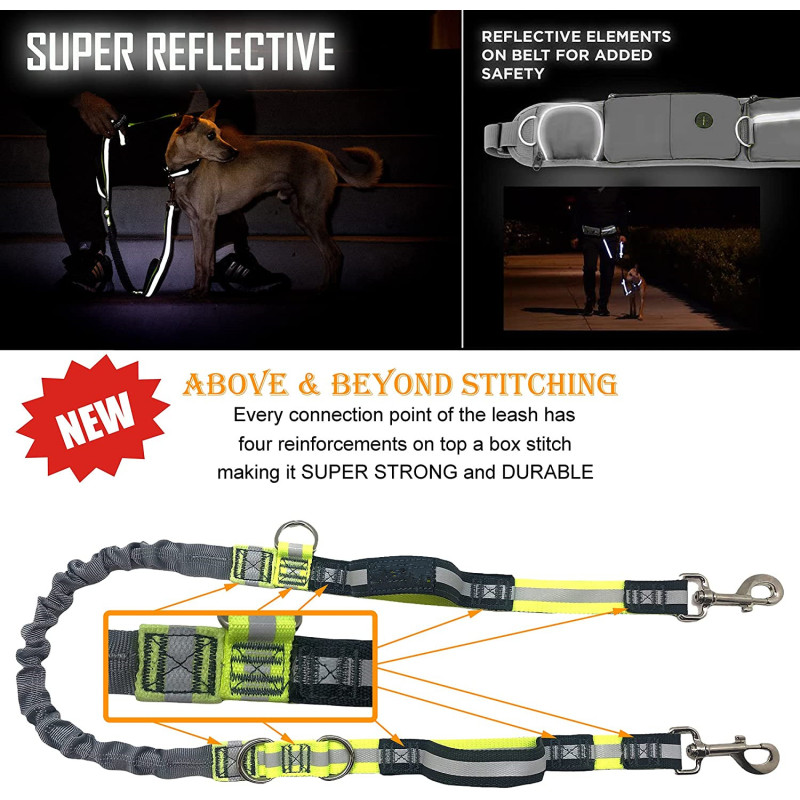 Reflective Bungee Running Dog Leash Poop Bag Dispenser for Small Medium Large Dogs