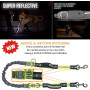 Reflective Bungee Running Dog Leash Poop Bag Dispenser for Small Medium Large Dogs