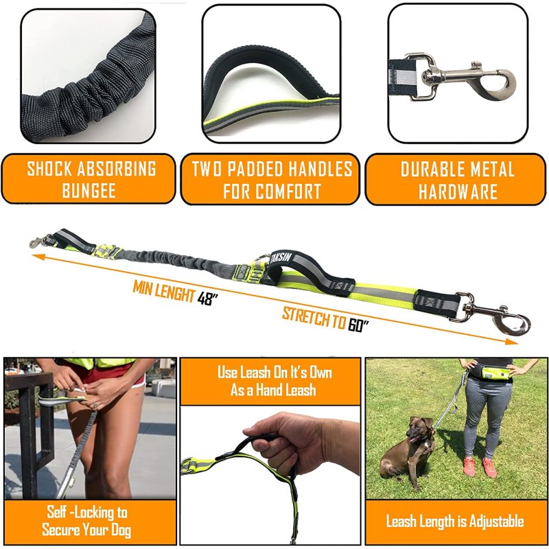 Reflective Bungee Running Dog Leash Poop Bag Dispenser for Small Medium Large Dogs