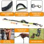 Reflective Bungee Running Dog Leash Poop Bag Dispenser for Small Medium Large Dogs