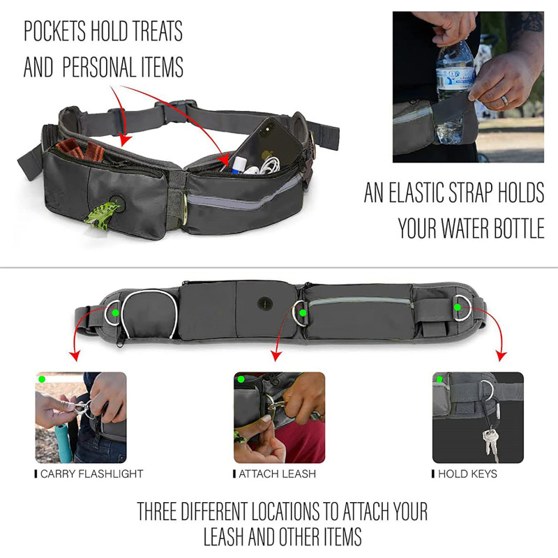 Reflective Bungee Running Dog Leash Poop Bag Dispenser for Small Medium Large Dogs