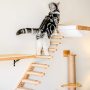 Cat Climbing Shelf Wall Mounted with Jute Scratching Cat Tree